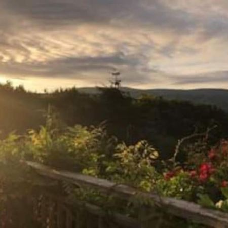 Stunning Views Of Ynyshir & Southern Snowdonia Махинллет Экстерьер фото